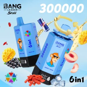 Bang Leader Stoll 300K 使い捨てVAPE 製品画像