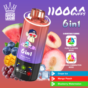 Bang Leader 110K 6-in-1 使い捨てVAPE 製品画像