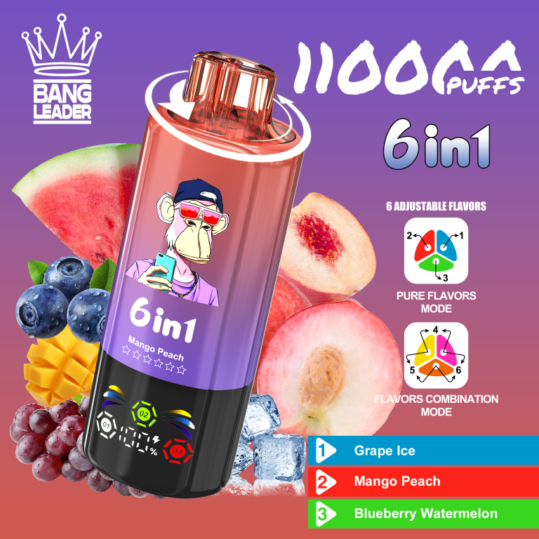 Bang Leader 110K 6-in-1 使い捨てVAPE 製品画像
