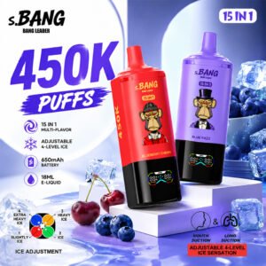 Bang Leader 450K 15-in-1 使い捨てVAPE 製品画像