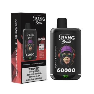 Bang Leader Stoll 60K Puffs 使い捨てVAPE 製品画像